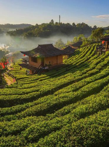 Miền Bắc Thái Lan – Địa điểm du lịch giải nhiệt mùa hè lý tưởng
