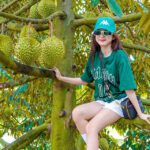 Miệt vườn hoa trái miền Tây dịp hè khiến du khách say mê