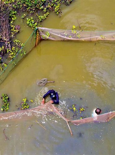 Du lịch miền Tây trải nghiệm dỡ chà bắt cá