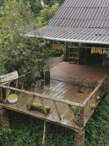 Mùa hè không nóng cùng 5 HOMESTAY ẩn mình dưới cánh rừng xanh mát